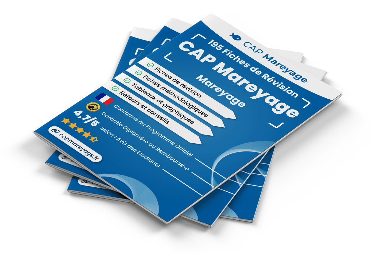 Image produit fiches-de-revision